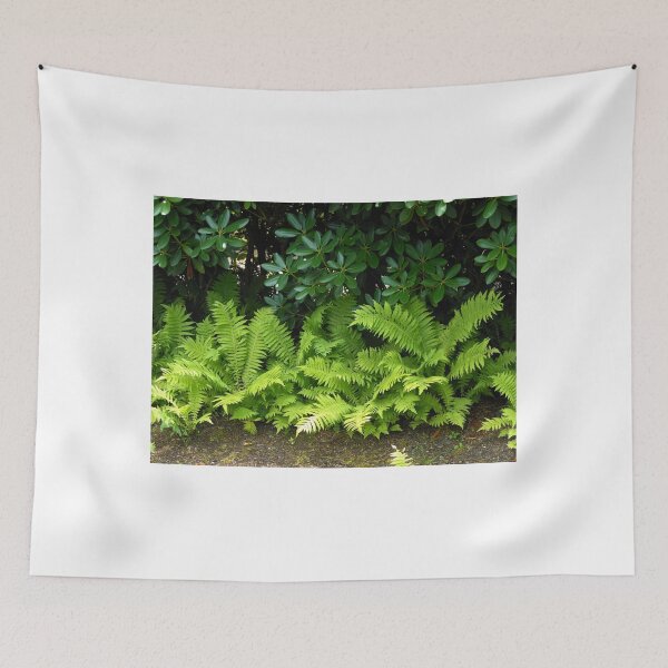 Item preview, Sunlit Ferns designed and sold by BlueMoonRose.