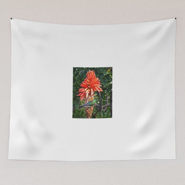 Item preview, Sunbird on Aloe designed and sold by BiodiversityRocks.