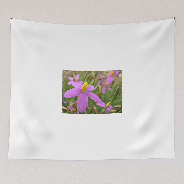 Item preview, Sweet pink gentian designed and sold by BiodiversityRocks.