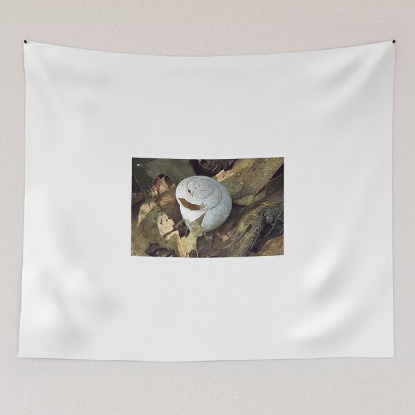 Item preview, Snail Shell designed and sold by Rusty (Helen)  Valenza.