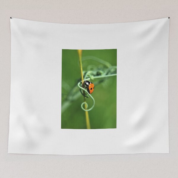 Tapestry