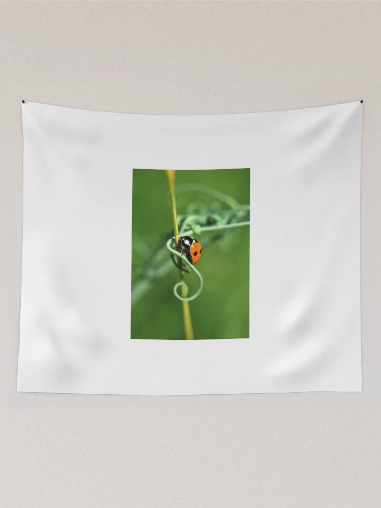 Thumbnail 2 of 3, Tapestry, Algorithm designed and sold by Inese.