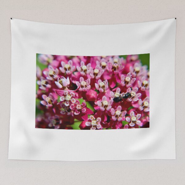 Item preview, Swamp Milkweed designed and sold by Kathleen Daley.
