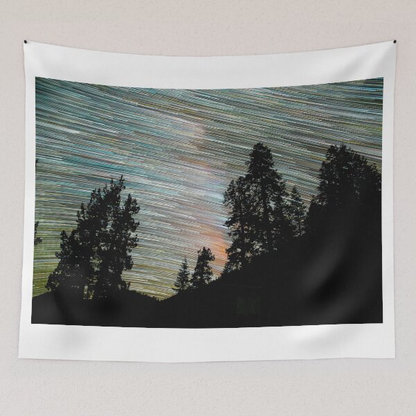 Item preview, Star Trails and Giant Trees at Sequoia Park designed and sold by Gavin Heffernan.