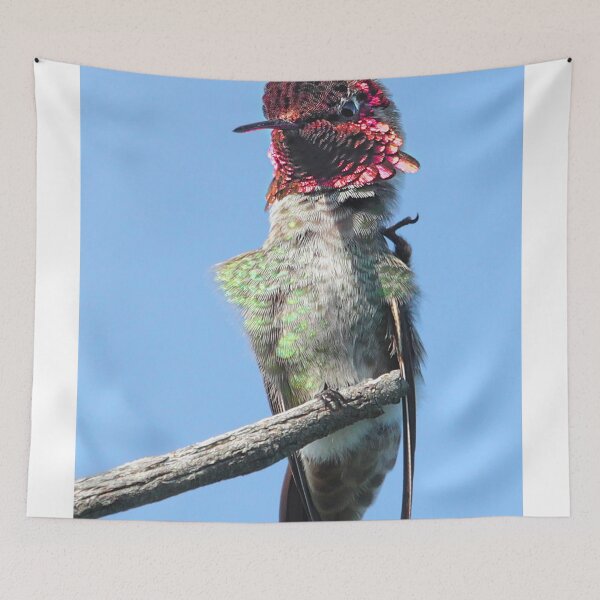 Item preview, Can't quite reach! designed and sold by Carl Olsen.