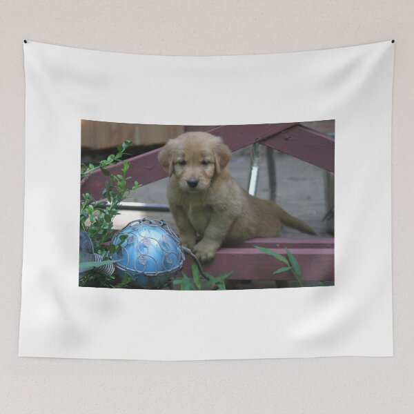 Item preview, Ramses 'You Call' designed and sold by goldnzrule.
