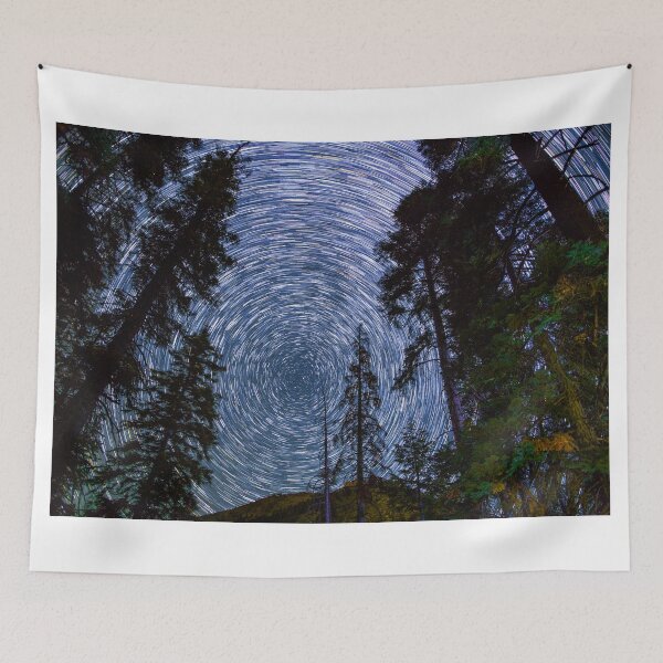 Item preview, Polaris Star Trails Over Big Forest in King's Canyon designed and sold by Gavin Heffernan.