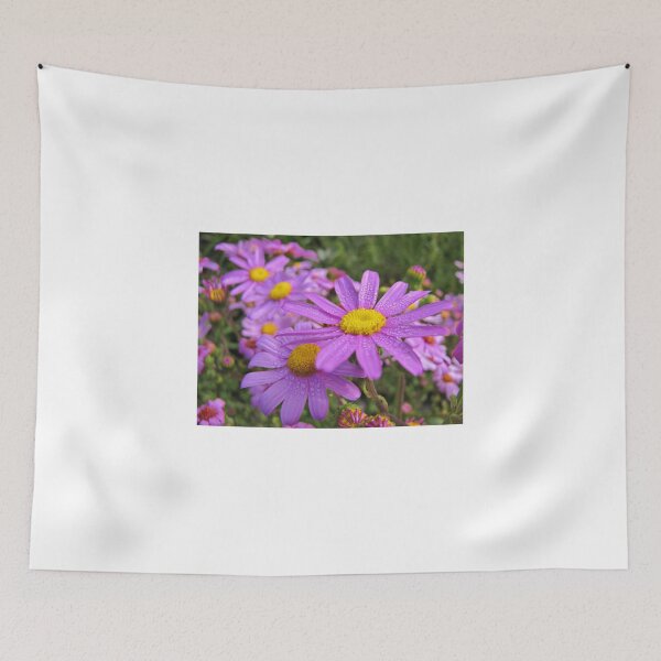 Item preview, Senecio elegans - pink beauties designed and sold by BiodiversityRocks.