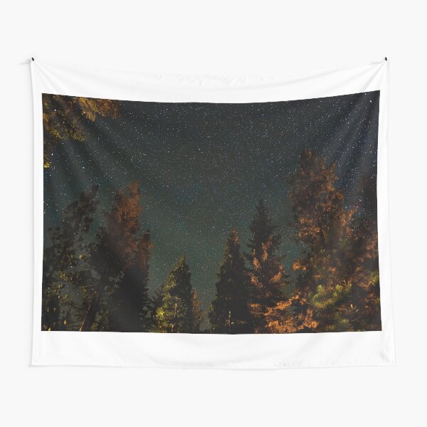 Sea of Beautiful Stars Over Forest Tapestry