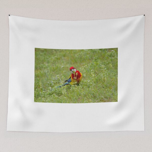 Item preview, Birdie Lollipop Time designed and sold by byronbackyard.