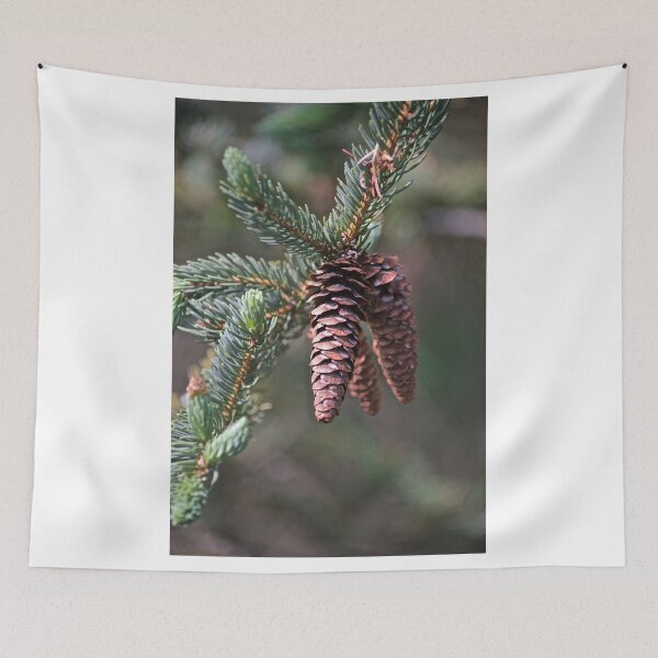 Item preview, Cones designed and sold by Peter Martsolf.