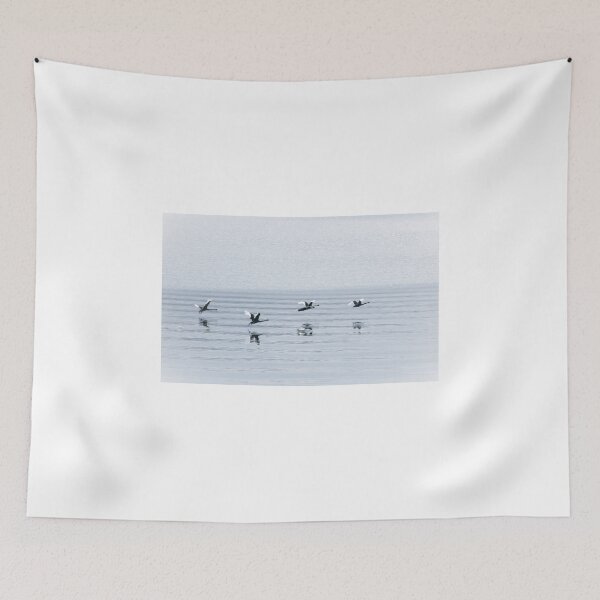 Item preview, Black Swan Take-Off designed and sold by pcbermagui.