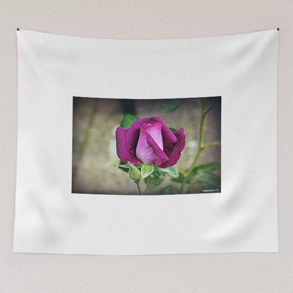 Item preview, June 1st Rosebud designed and sold by naturelover.