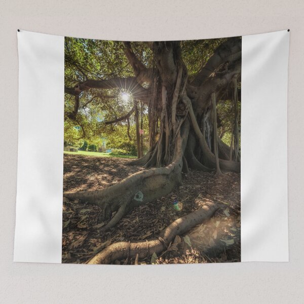Item preview, Light through the canopy designed and sold by Adriano Carrideo.