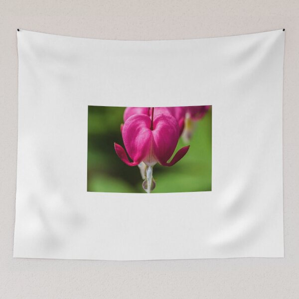 Item preview, Bleeding Heart  designed and sold by chris2766.