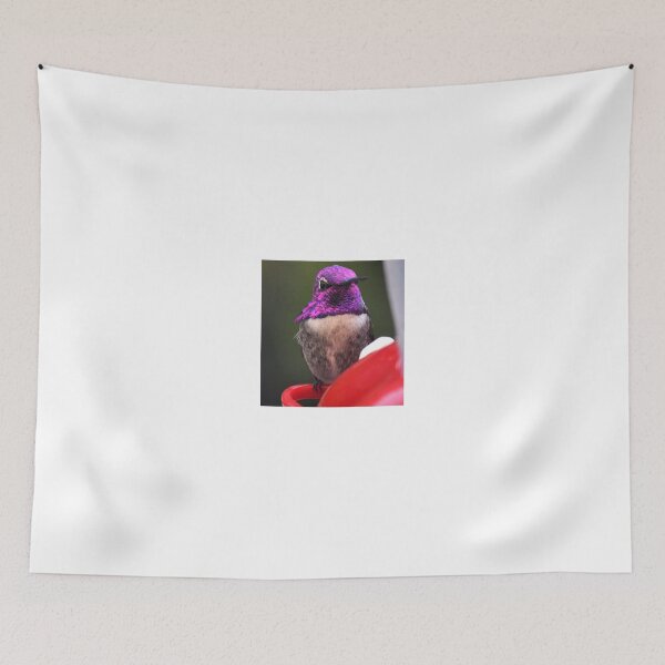 Item preview, EYE WIDE OPEN-MALE COSTA'S HUMMINGBIRD designed and sold by JAYMILO.