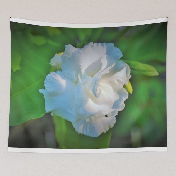 Item preview, White and ruffled designed and sold by B. Randi Bailey.
