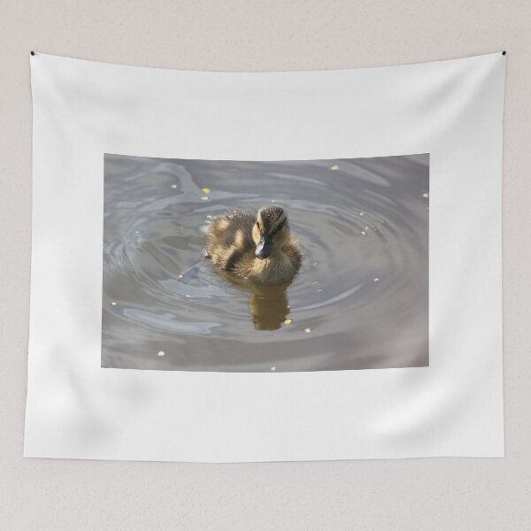 Item preview, Mallard duckling on Llangollen canal designed and sold by turniptowers.