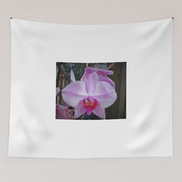 Item preview, Wild Orchid designed and sold by alan barbour.