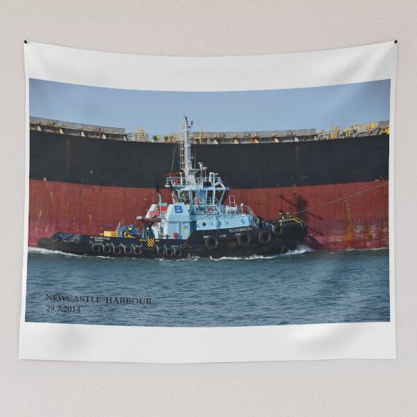 Item preview, PB DIAMANTINA - PB TOWAGE TUG designed and sold by Phil Woodman.