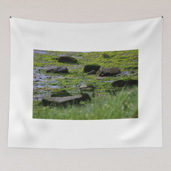 Item preview, Mossy Shore designed and sold by Gilda Axelrod.