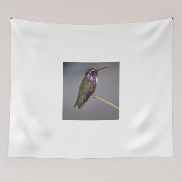 Item preview, BEAUTIFUL MALE ANNA'S IN ALL IS GLORIOUS COLORS designed and sold by JAYMILO.