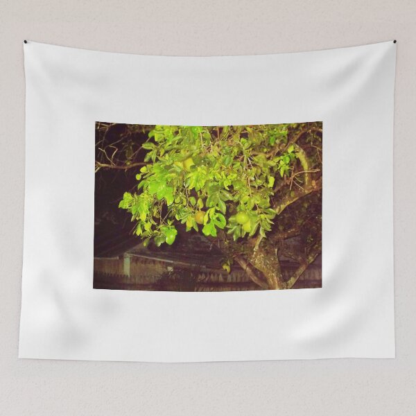 Item preview, Green Oranges at night in an old tree by Haunted House designed and sold by alan barbour.