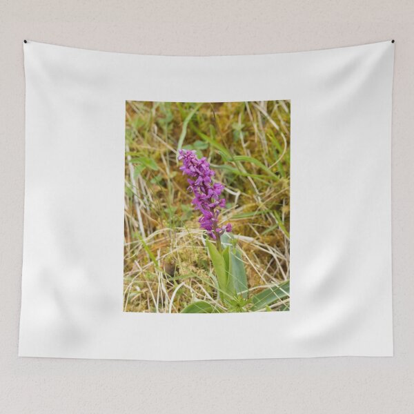 Item preview, Orchid designed and sold by Sue Robinson.