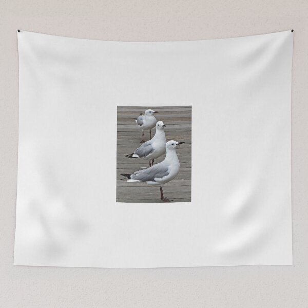 Item preview, Seagull line-up designed and sold by BiodiversityRocks.