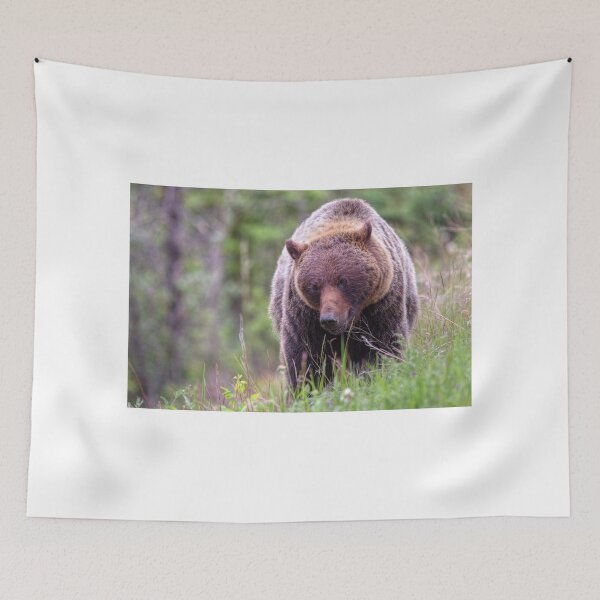 Item preview, Big Mama Grizzly designed and sold by James (820Photography) Anderson.