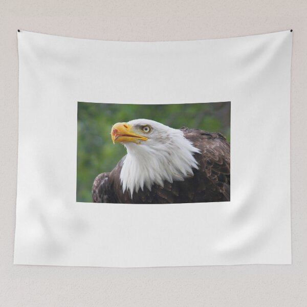 Item preview, Bald Eagle designed and sold by Jo Nijenhuis.