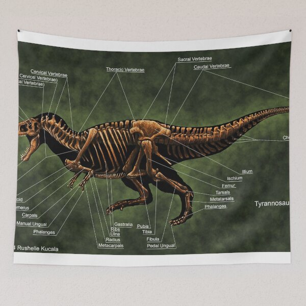 Item preview, Tyrannosaurus Rex Skeleton Study designed and sold by Thedragonofdoom.