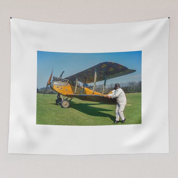 Item preview, Luft Verkehrs Gesellschaft C.VI 7198/18 G-AANJ designed and sold by Colin Smedley.