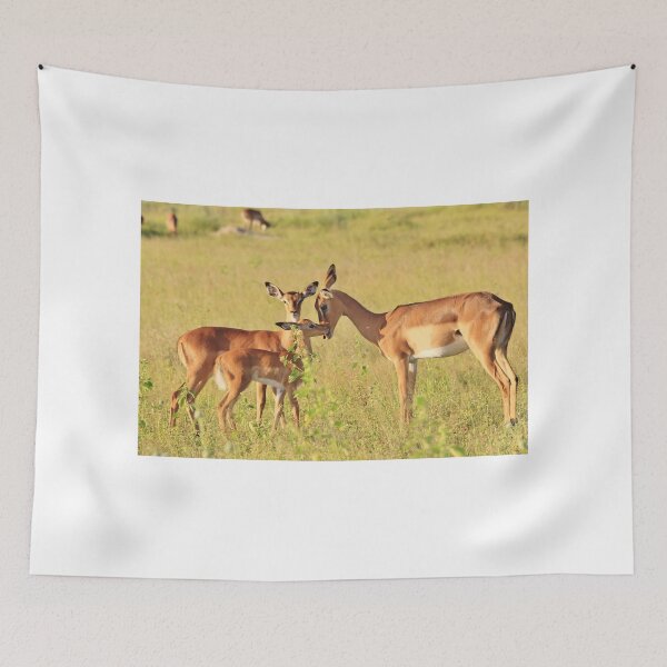 Item preview, Impala - Motherly Love in Nature designed and sold by LivingWild.