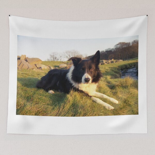 Item preview, Indy at the stream. designed and sold by Michael Haslam.