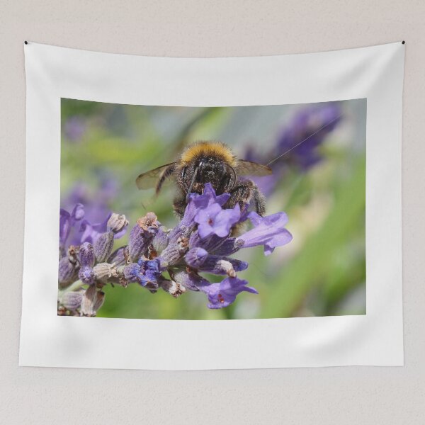 Item preview, What Big Eyes You Have designed and sold by AnnDixon.