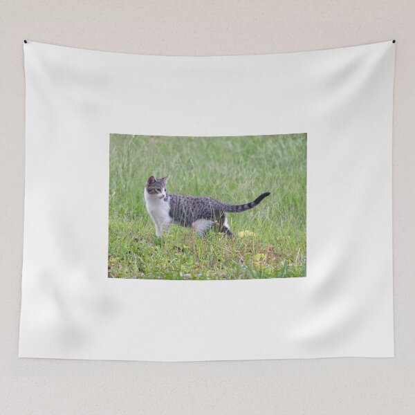 Item preview, Follow Me! designed and sold by Frankie Cat Photography.