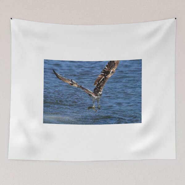 Item preview, Osprey Gone Fishing designed and sold by PsychoAlien.com.