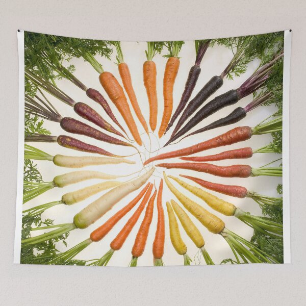 Item preview, Carrot Color Wheel  designed and sold by BravuraMedia.