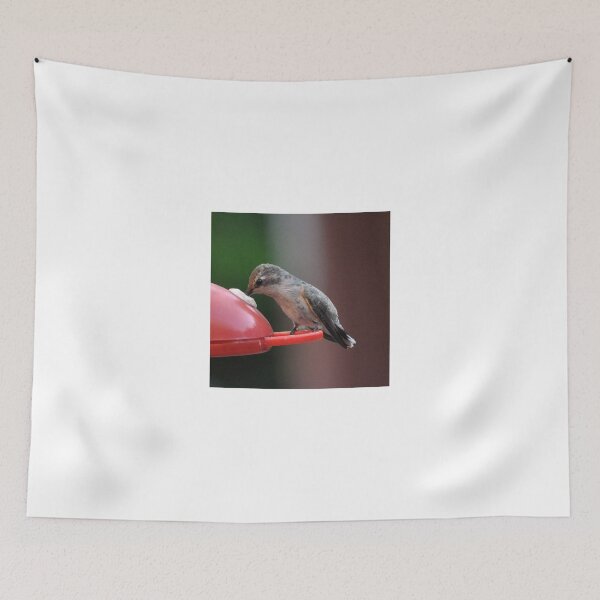 Item preview, BABY HUMMINGBIRD ANNA'S designed and sold by JAYMILO.