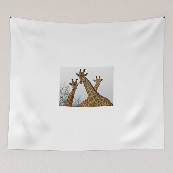 Item preview, A Trio Of Giraffes! designed and sold by Anthony Goldman.