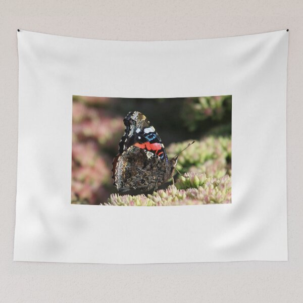 Item preview, A Red Admiral Butterfly designed and sold by Anthony Goldman.