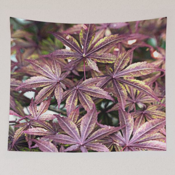 Item preview, Japanese Maple designed and sold by Frankie Cat Photography.