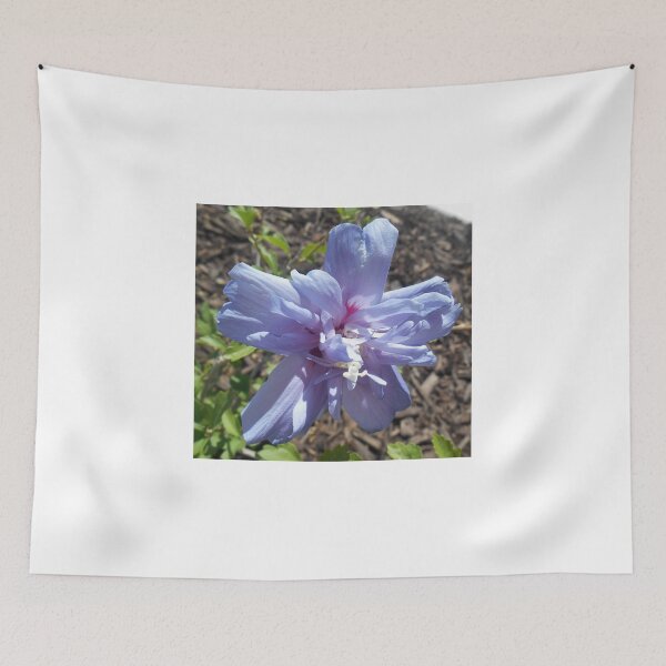 Item preview, Blue Chiffon designed and sold by AmberELamoreaux.