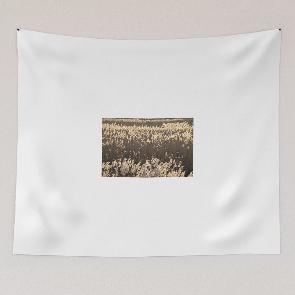 Item preview, Norfolk Reeds designed and sold by cleywindmill.