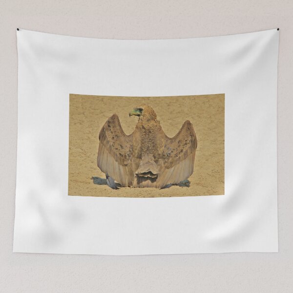 Item preview, Bateleur Eagle - Wings of Beauty from Africa designed and sold by LivingWild.