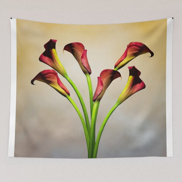 Item preview, cala lili  designed and sold by mark ashkenazi.