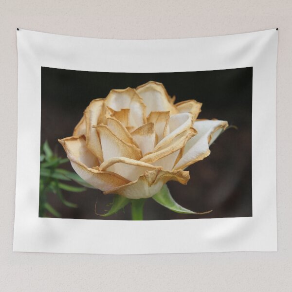 Item preview, Wilting Rose with a Hint of Gold designed and sold by AnnDixon.