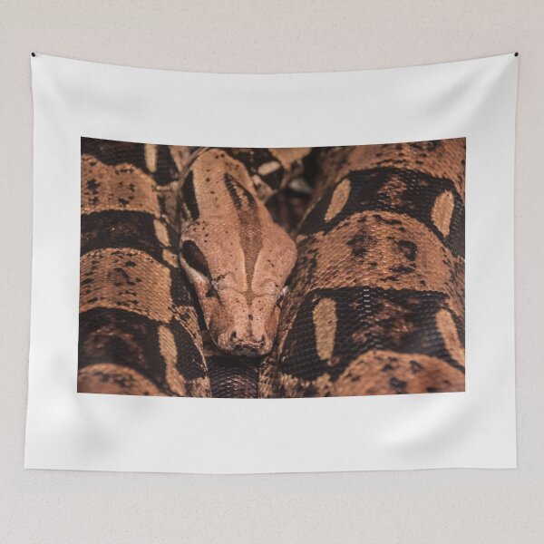 Item preview, Sleeping? designed and sold by AhArtography.