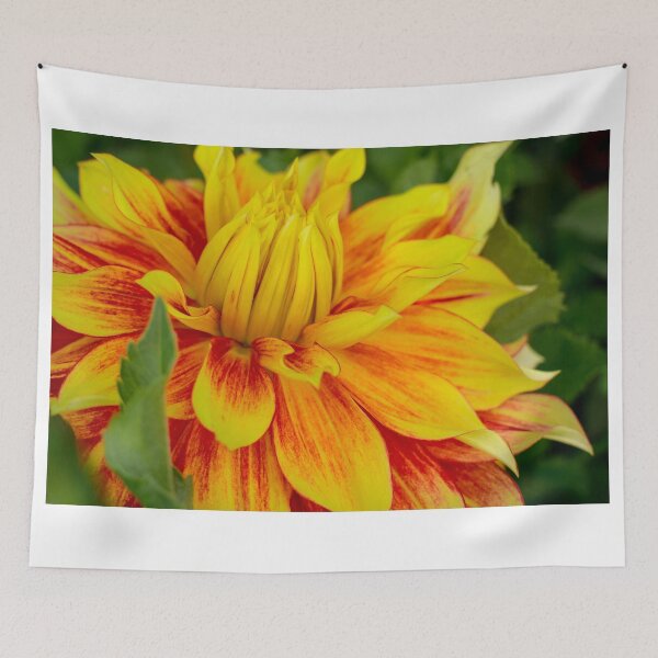 Artikelvorschau, Flame Thrower Dahlia entworfen und verkauft von Cee Neuner.